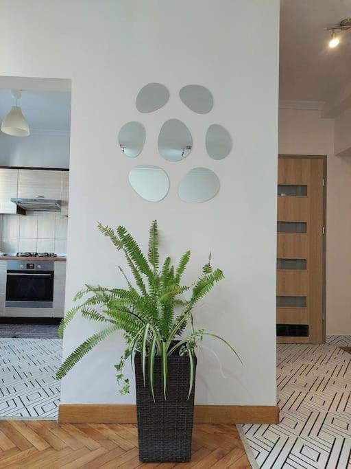 Ferienwohnung Domin Domin Częstochowa Exterior foto
