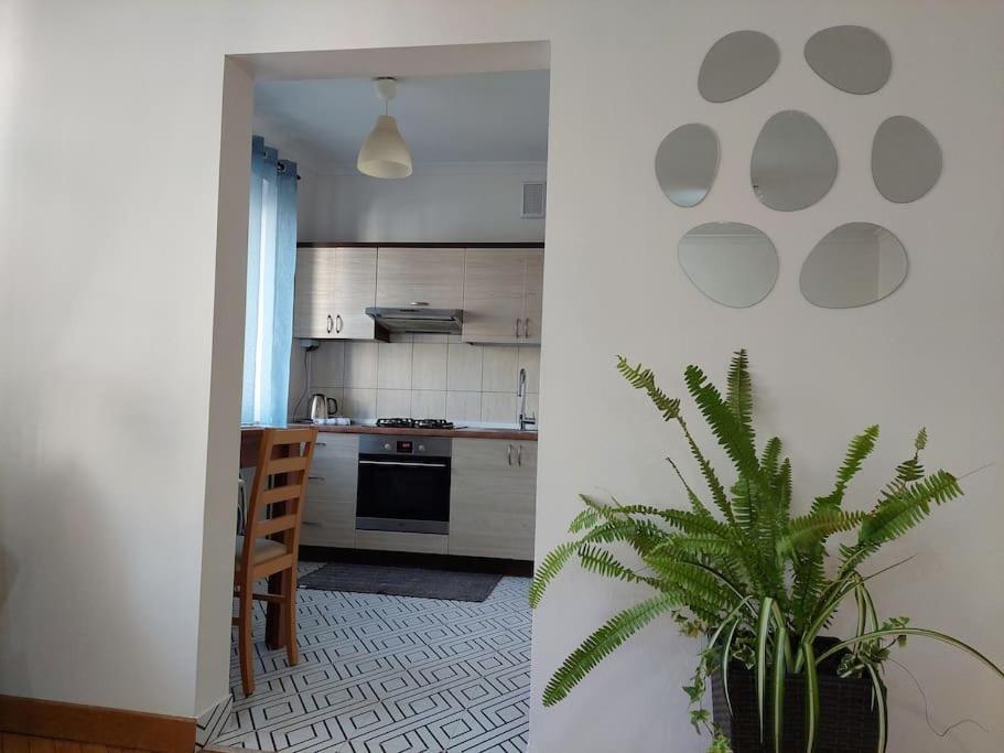 Ferienwohnung Domin Domin Częstochowa Exterior foto